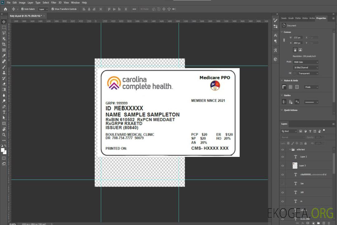 Carte d'assurance maladie de Caroline du Nord template